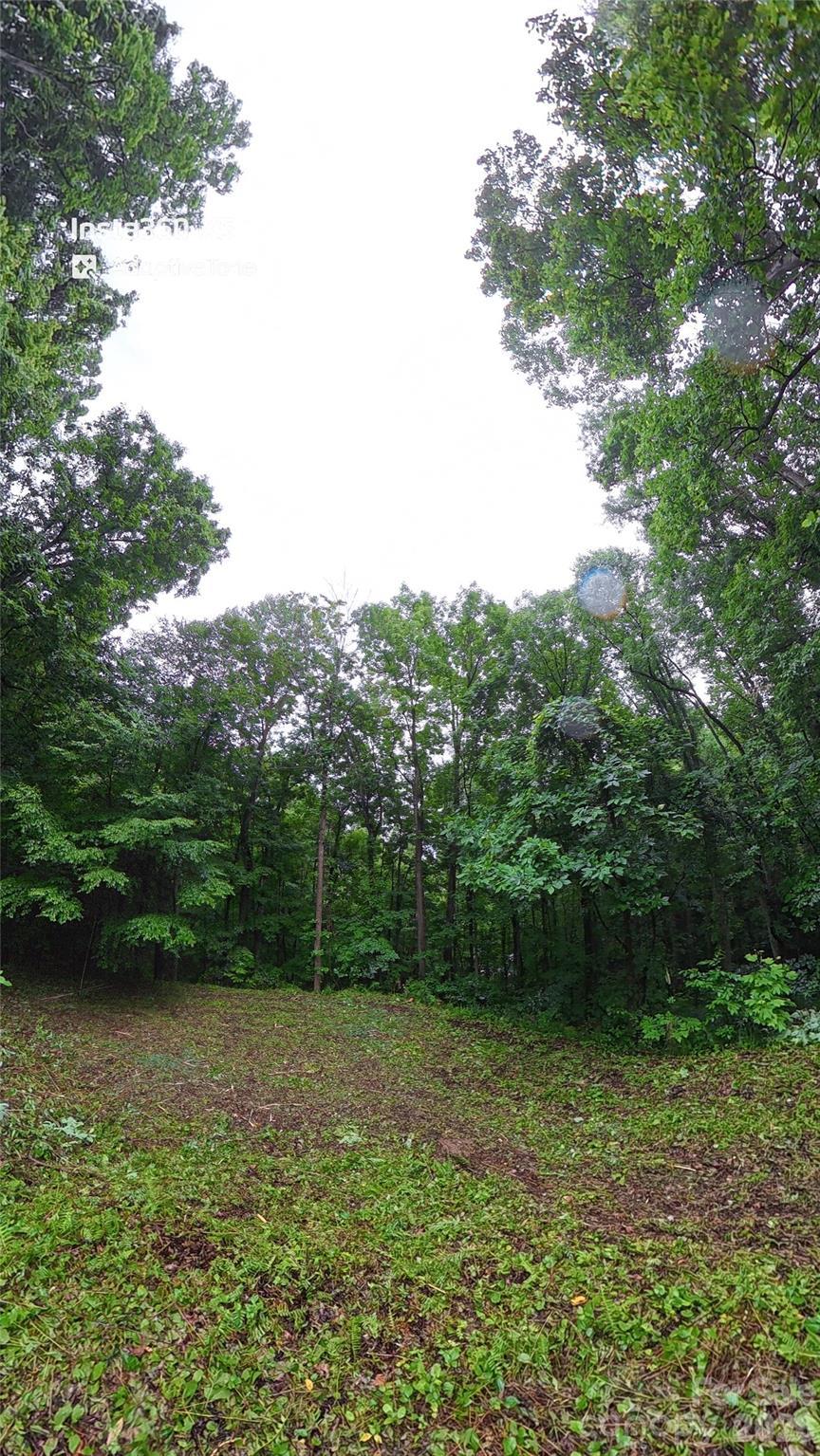 Image 4 Image 4