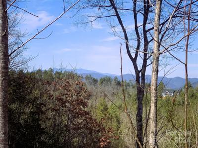 1.48 acres, Lot 370 Table View Lane