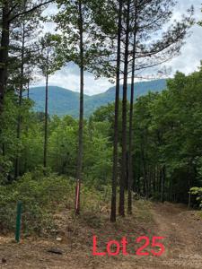 LOT 25 Monteith Place