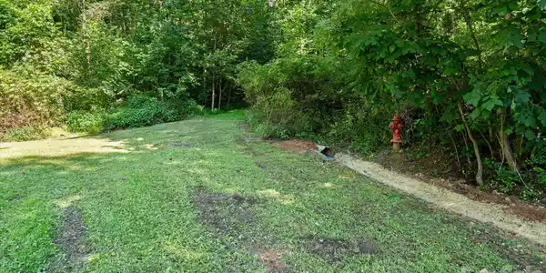 Image 3 Image 3