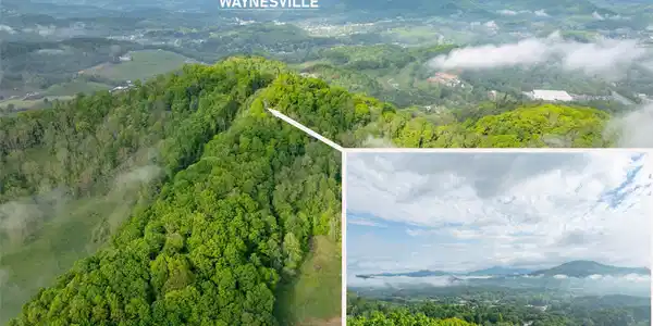 Image 3 Image 3