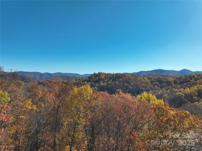 890 Panther Branch Road