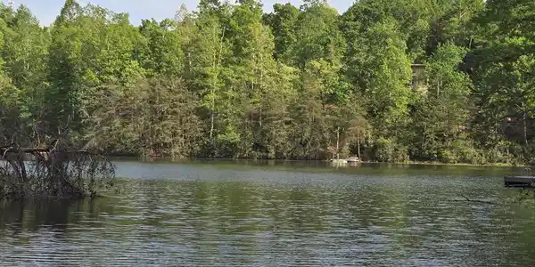 Lot 88 Woodland Circle