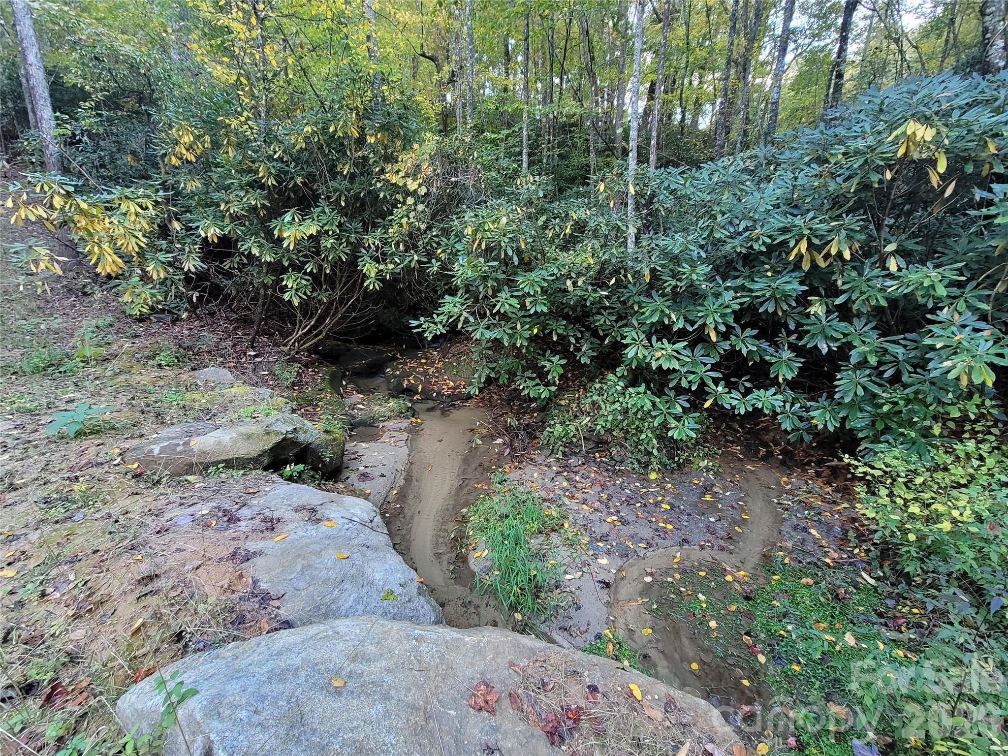 Image 4 Image 4