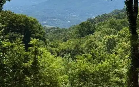 Image 3 Image 3