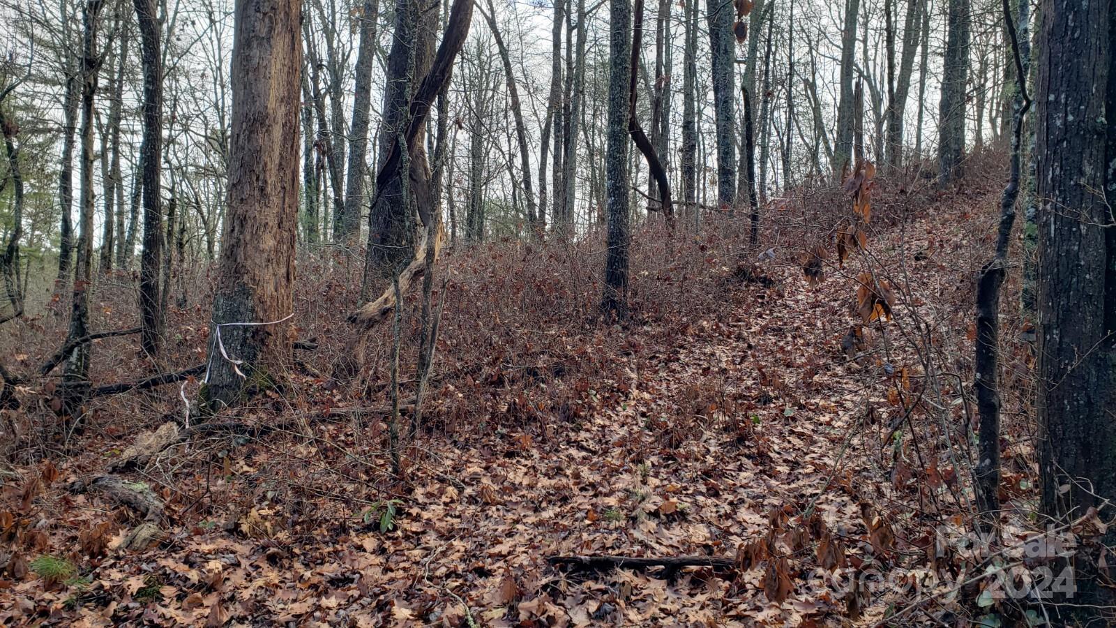 Image 4 Image 4