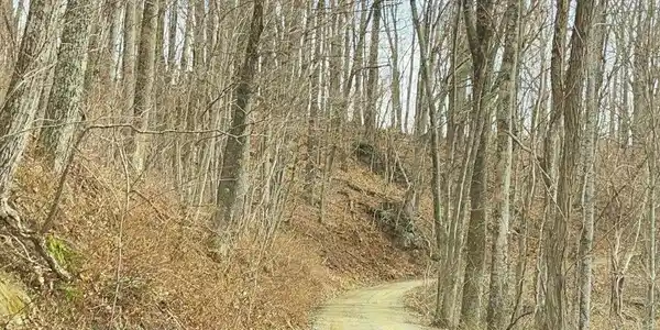 Image 4 Image 4