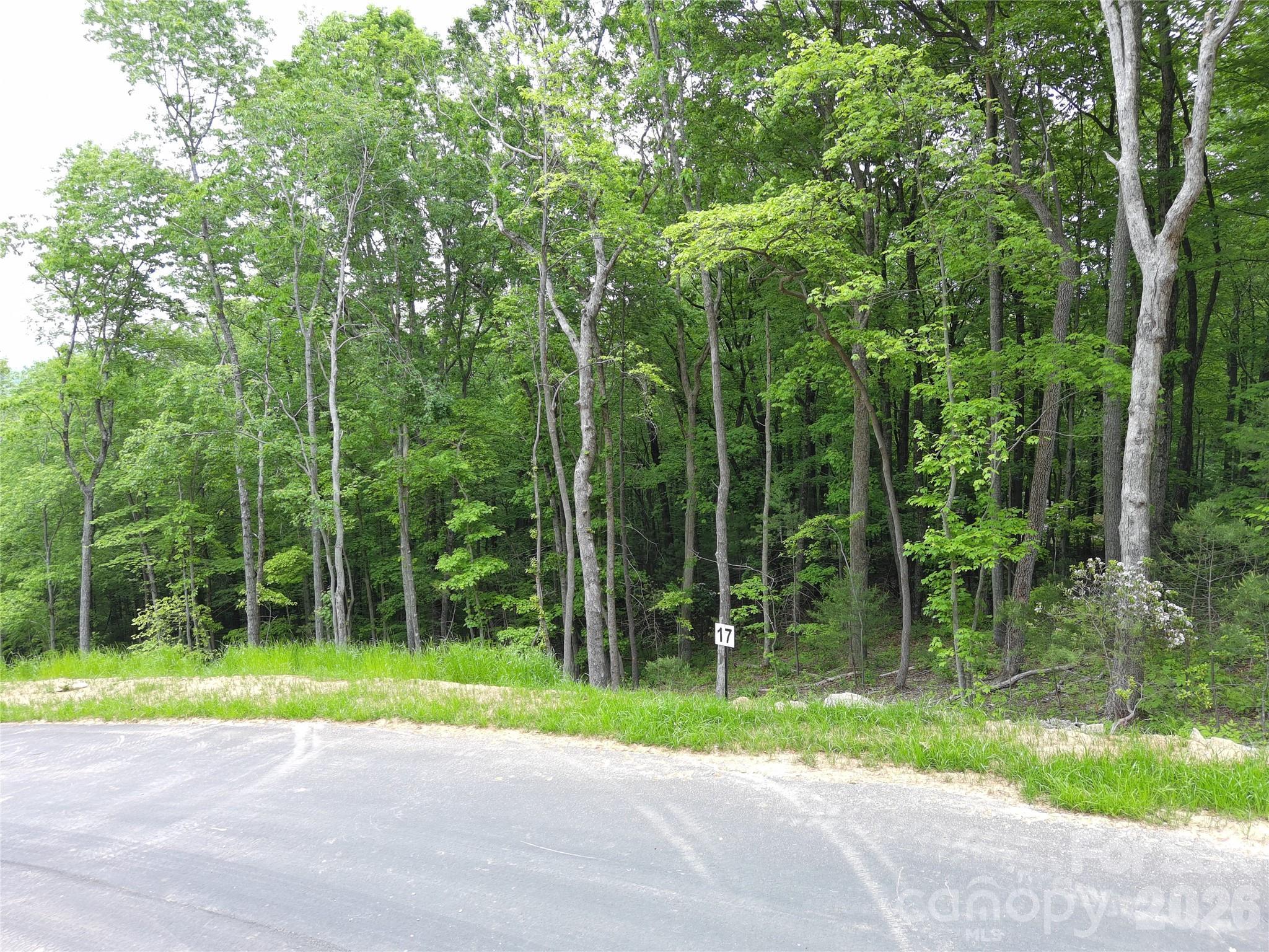 Image 3 Image 3