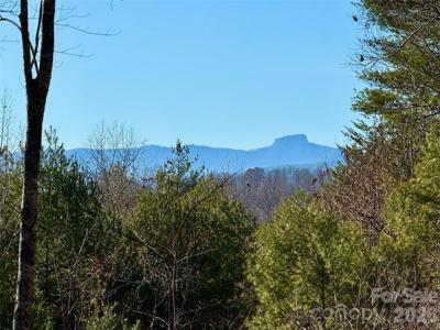 54.2 acres, Lot 837 High Valley Way