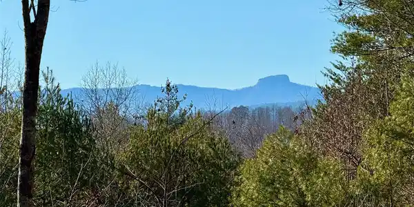 54.2 acres, Lot 837 High Valley Way
