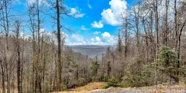 TBD Phillips Gap Road