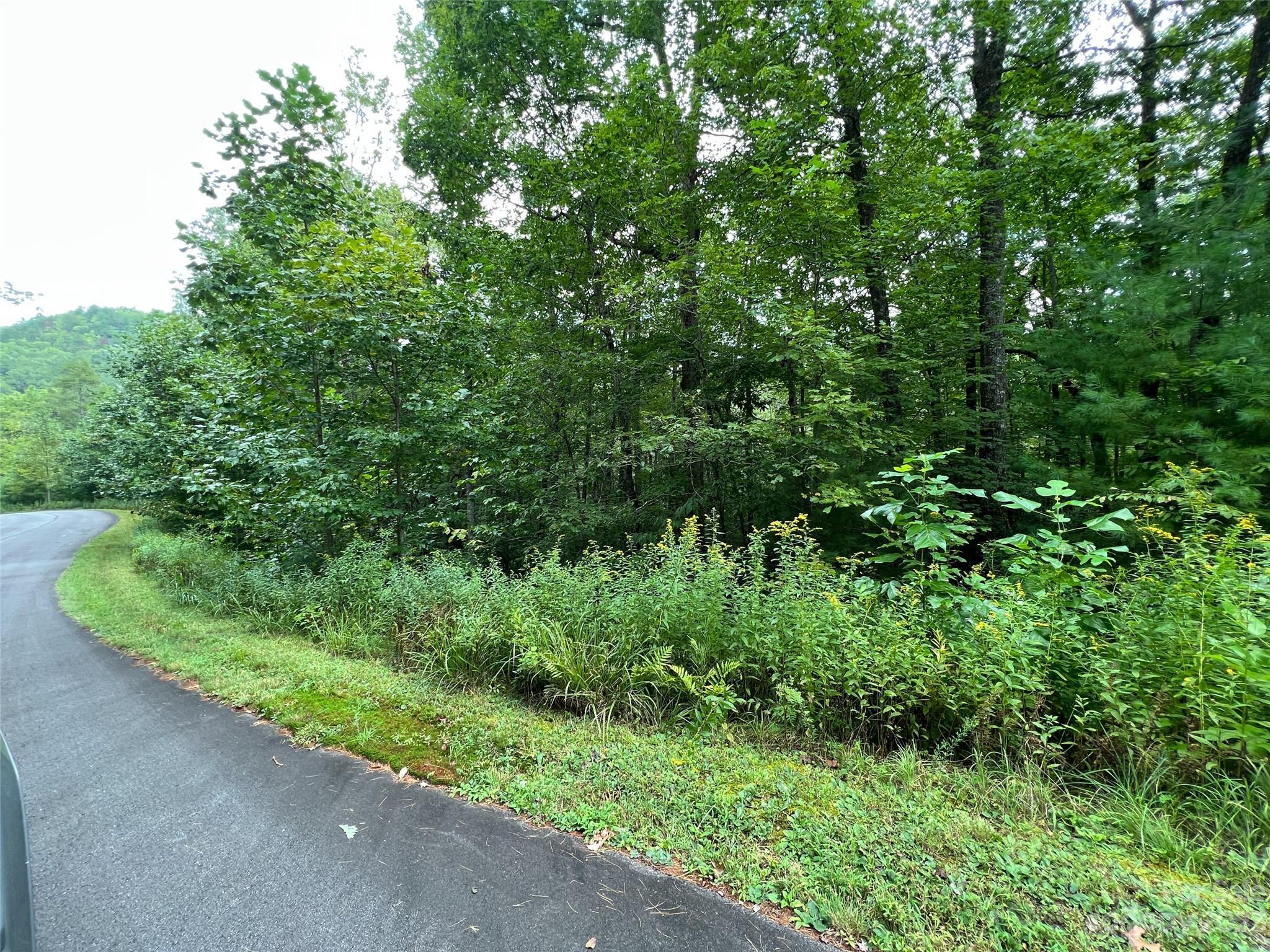 Image 2 Image 2