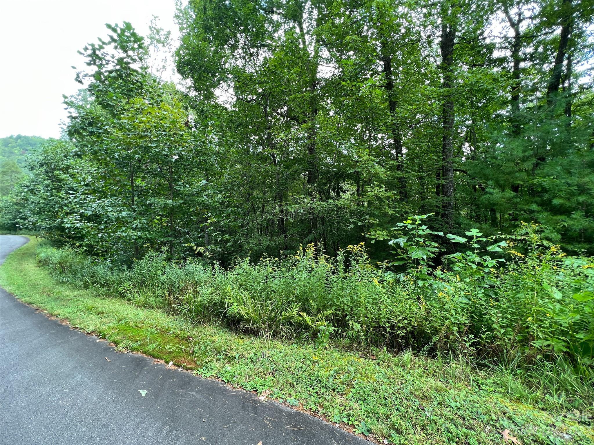 Image 3 Image 3
