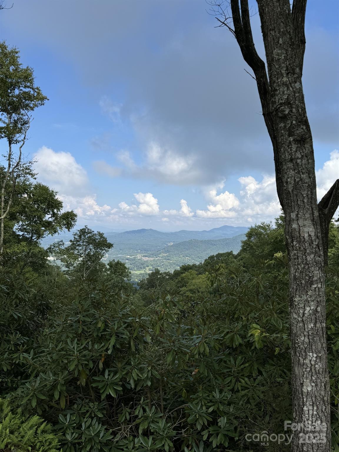 Image 4 Image 4