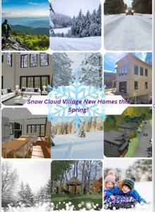 115 Snowcloud Drive