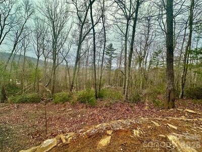 000 Orchard View Trail