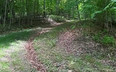 Image 4 Image 4