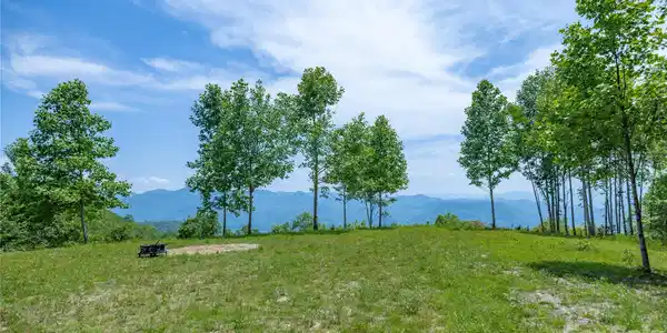 Image 4 Image 4