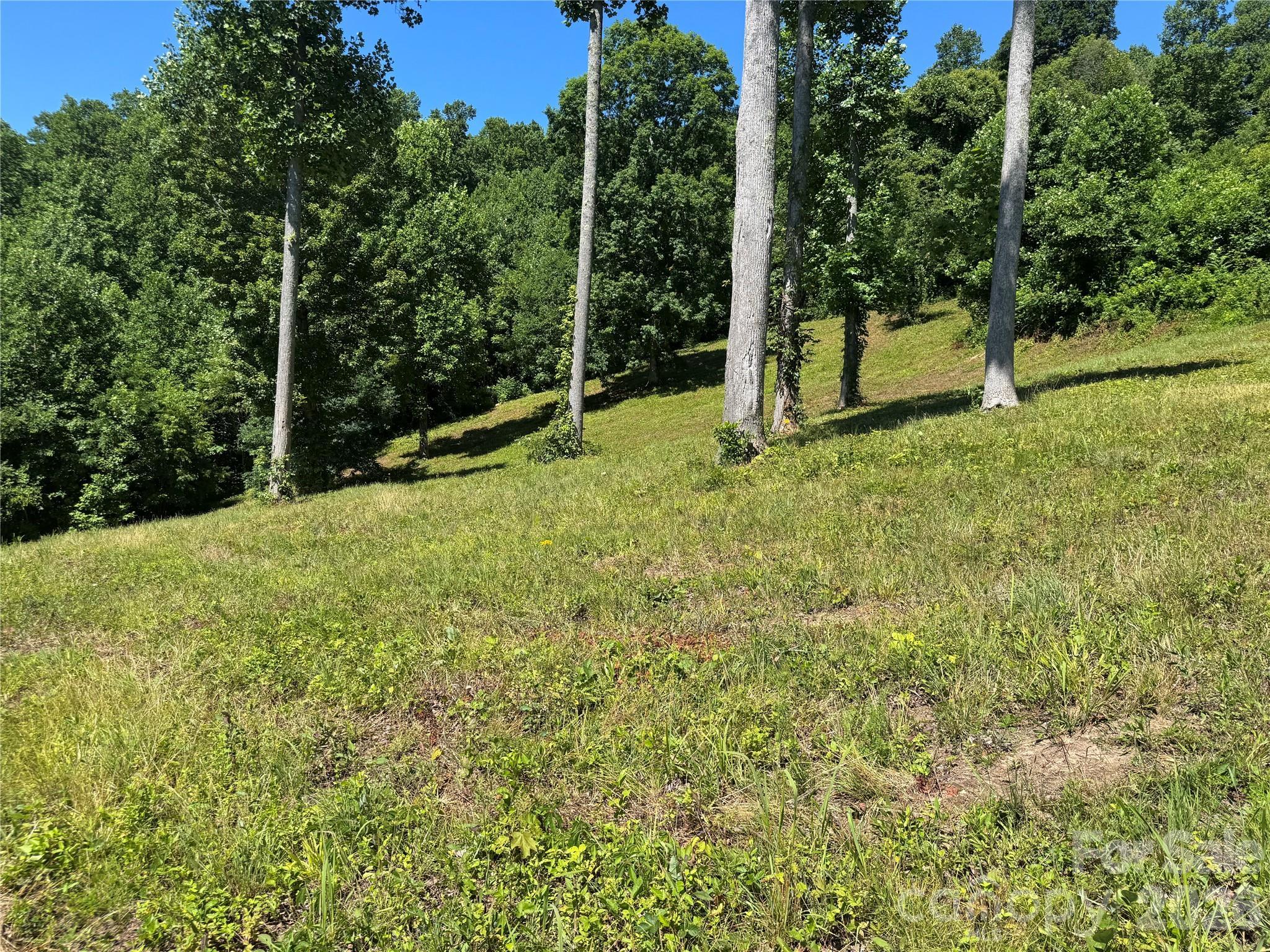 Image 4 Image 4