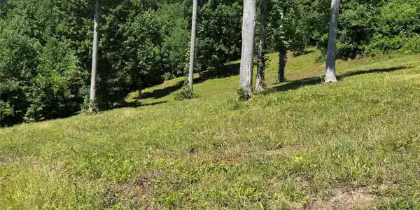 Image 4 Image 4