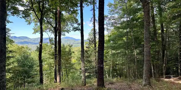 Image 3 Image 3