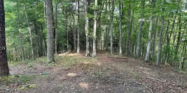 Image 4 Image 4