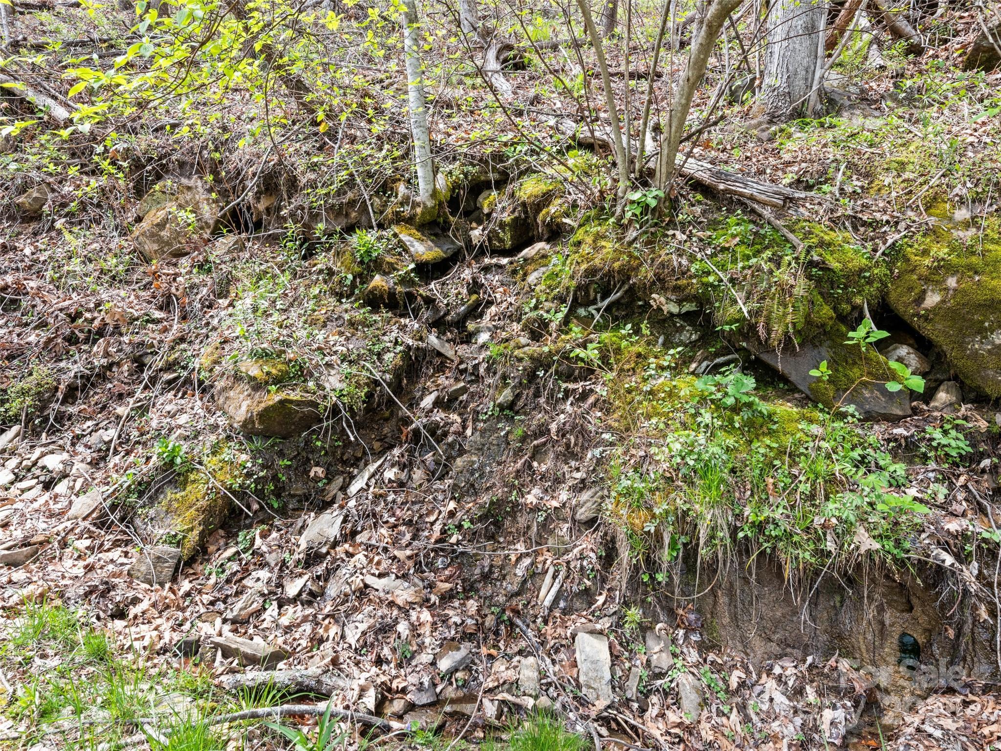 Image 4 Image 4