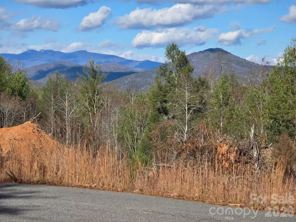 Image 1 Image 1