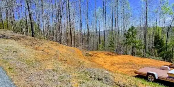 Image 3 Image 3