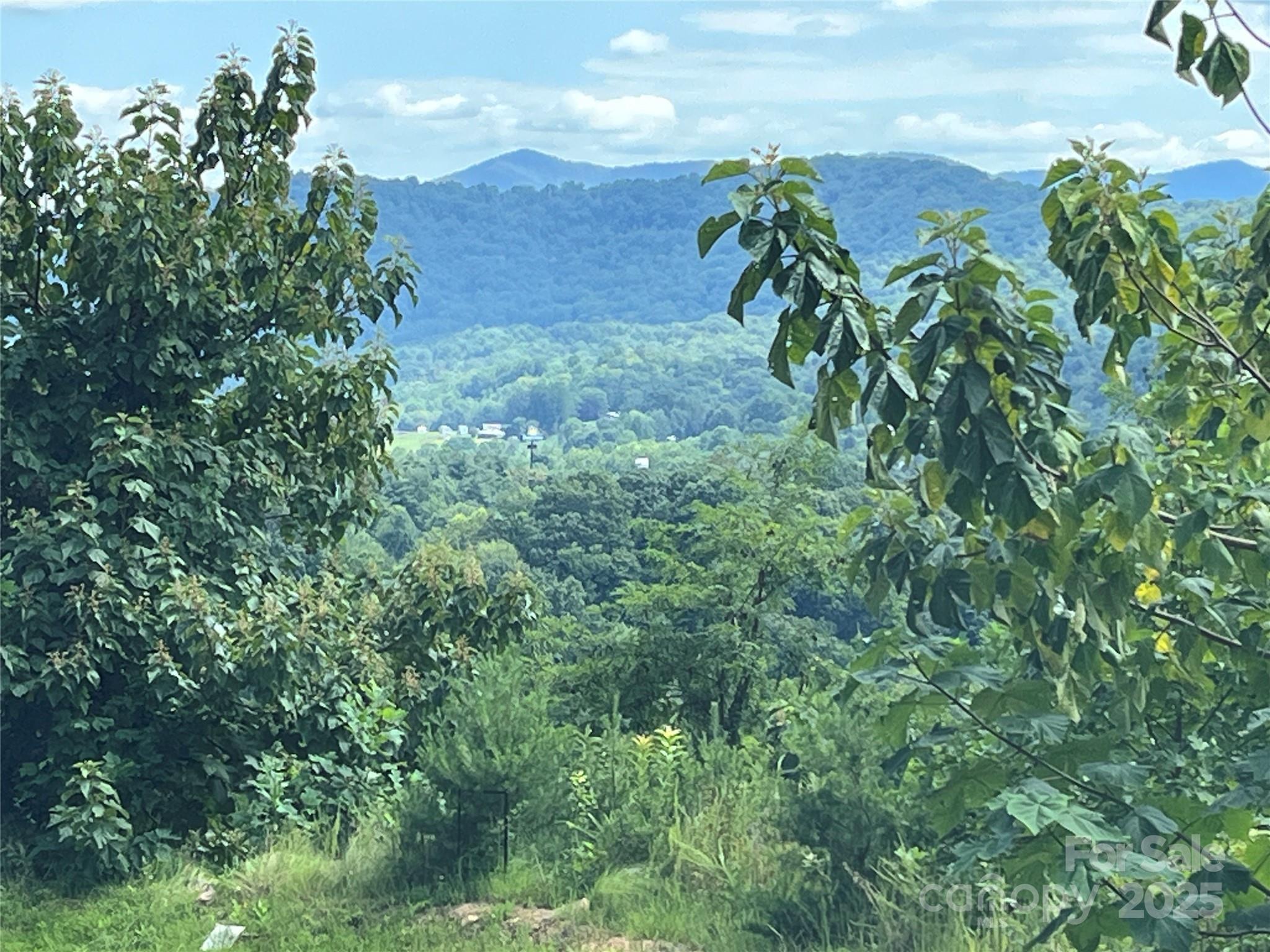 Image 3 Image 3