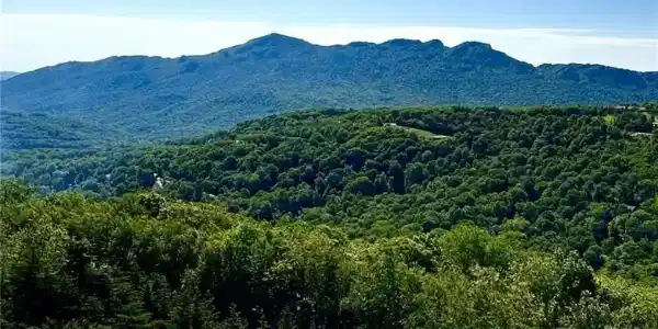 303 Sugar Top Drive