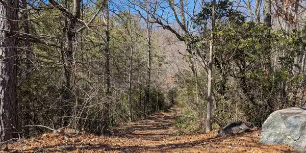 94 Trillium Lane