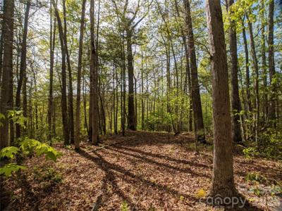 1156 Bear River Lodge Trail