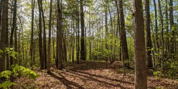 1156 Bear River Lodge Trail