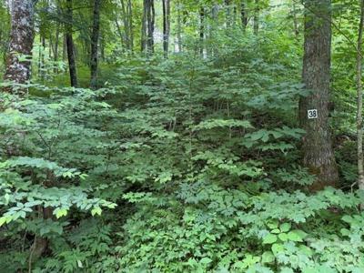 Lot 38 Yanasa Trail