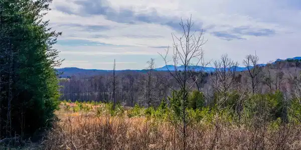 00 Pea Ridge Road