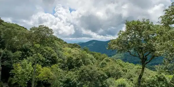 Image 3 Image 3