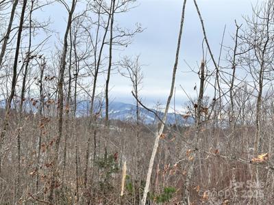 0000 Lot 78 Black Bear Crossing