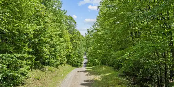 Image 2 Image 2