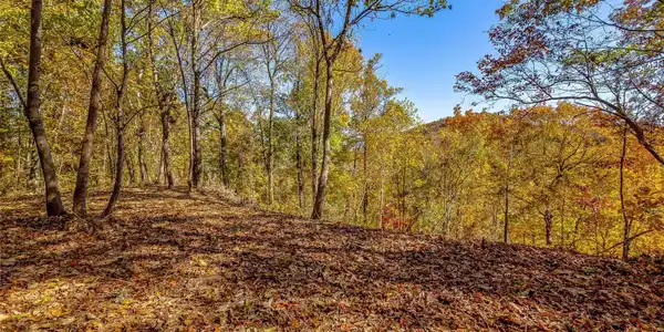 99999 Busbee Mountain Road