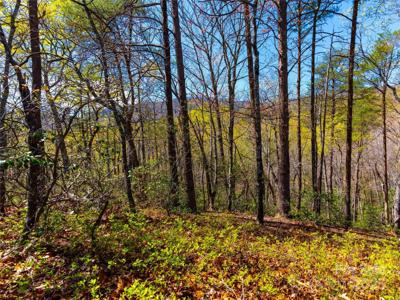 107 Deep Gap Road E