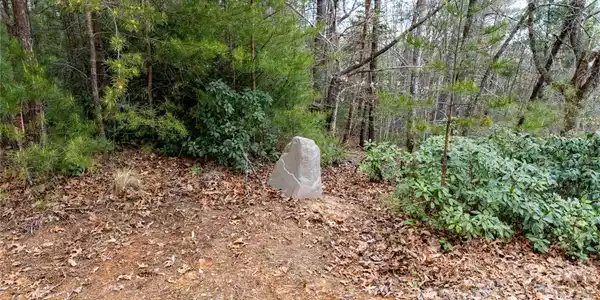 Image 3 Image 3
