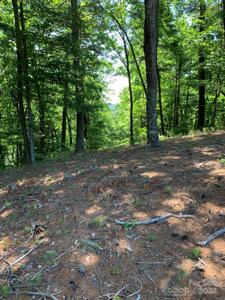 LOT 201 Meadow Crossing Lane