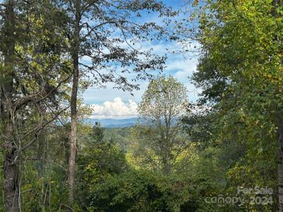 TBD Cabin Hollow Drive