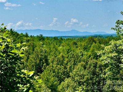 10 acres, Lot 528, Scenic Vista Trail