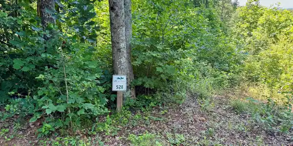 Image 2 Image 2