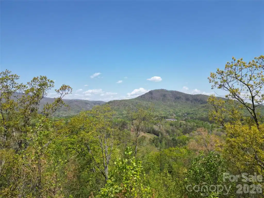 Image 1 Image 1