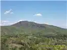 Image 3 Image 3