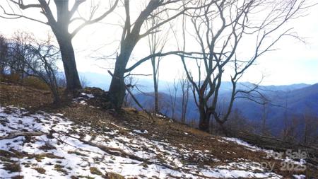 SR-1386 W Sang Branch, Hog Branch Road W