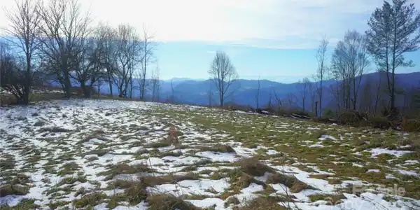 Image 2 Image 2